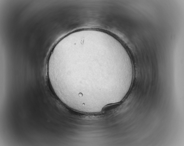 X0000093521366200711091732