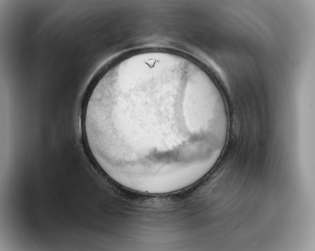 X0000093521368200711091732