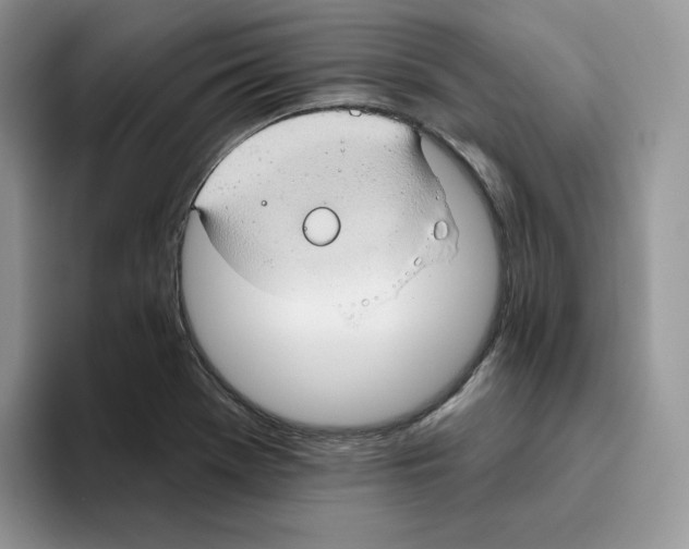 X0000093521369200711091732