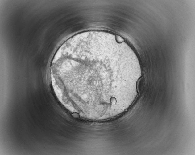 X0000093521371200711091732