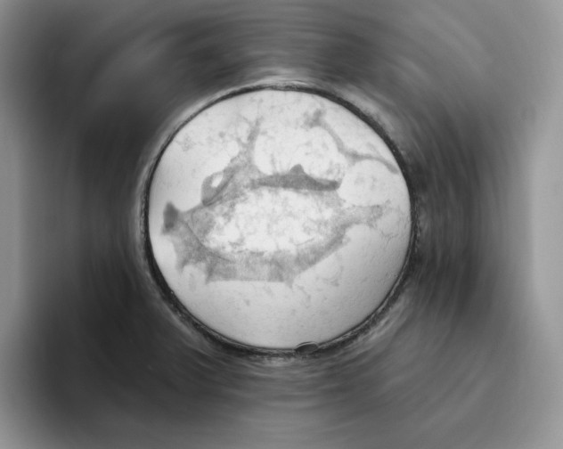 X0000093521375200711091732