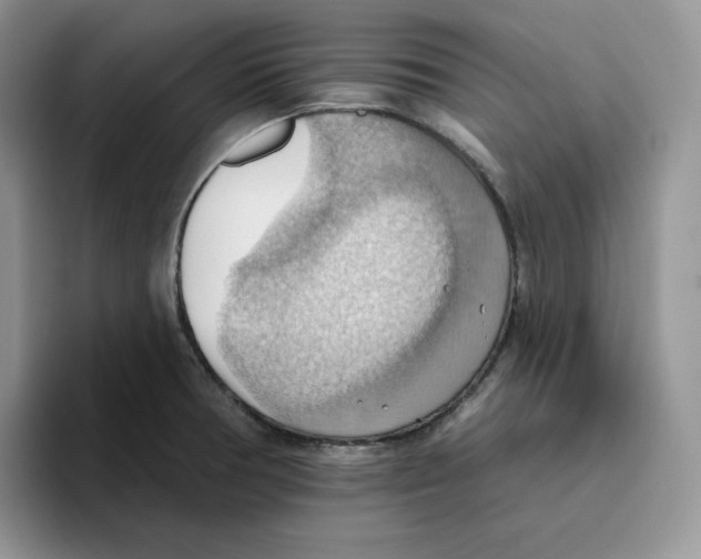 X0000093521378200711091732