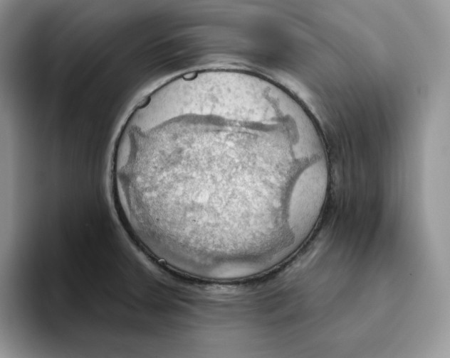 X0000093521379200711091732