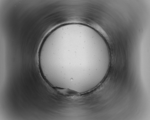 X0000093521380200711091732