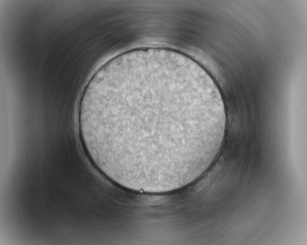 X0000093521382200711091732