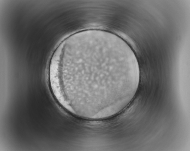 X0000093521383200711091732