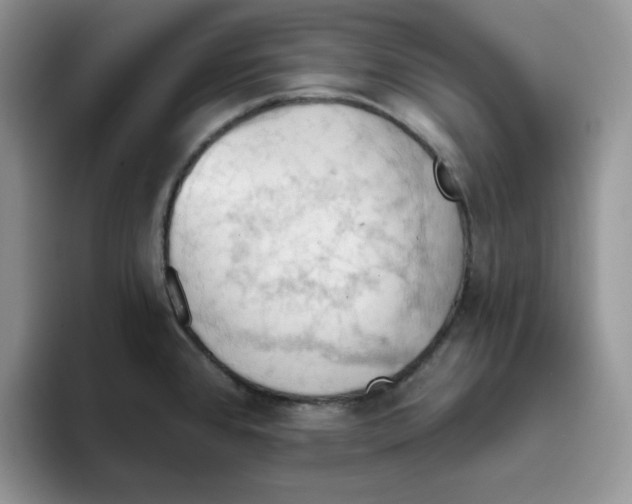 X0000093521384200711091732