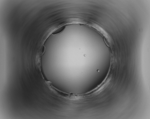 X0000093521385200711091732