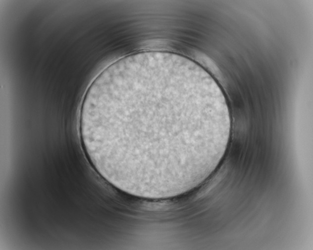 X0000093521386200711091732