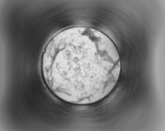 X0000093521387200711091732