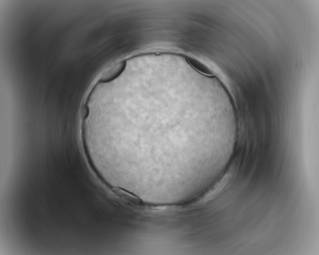 X0000093521390200711091731