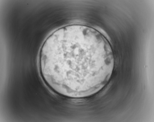 X0000093521391200711091731