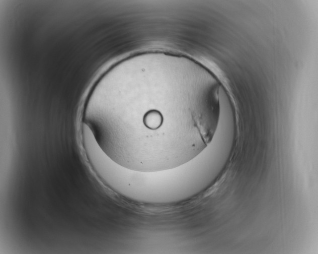 X0000093521392200711091731