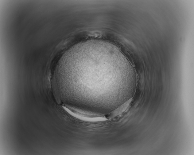 X0000093521394200711091731