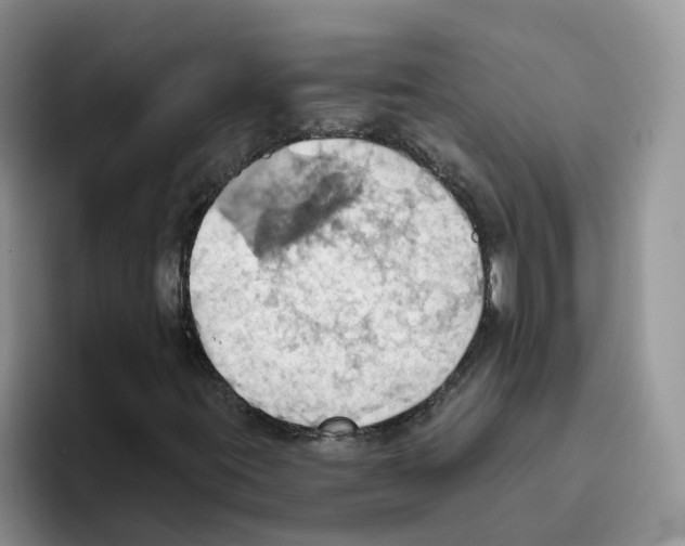 X0000093521395200711091731