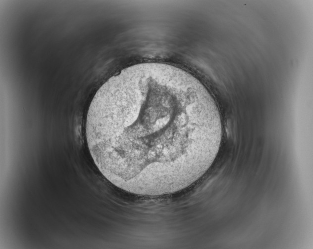 X0000093521396200711091731