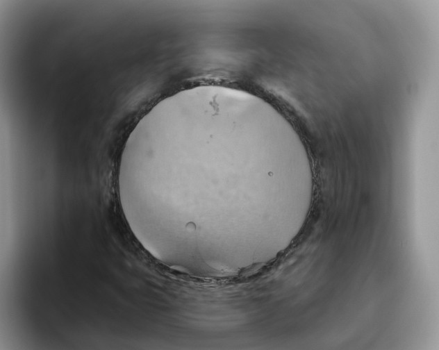 X0000093521399200711091731