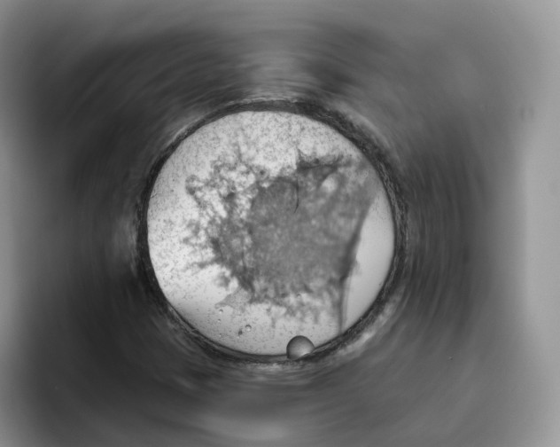 X0000093521401200711091731