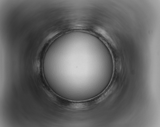 X0000093521402200711091731