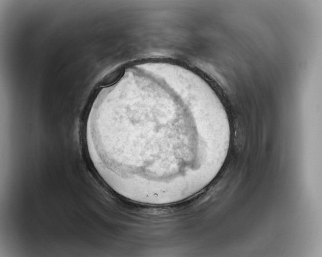 X0000093521404200711091731