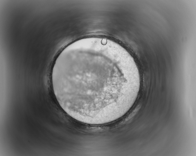 X0000093521405200711091731