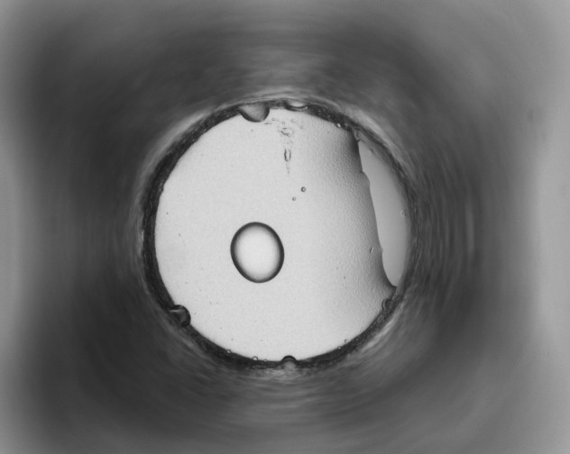 X0000093521406200711091731