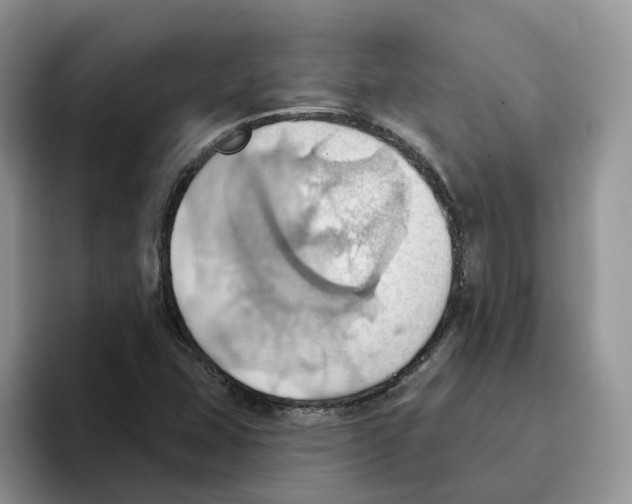 X0000093521407200711091731