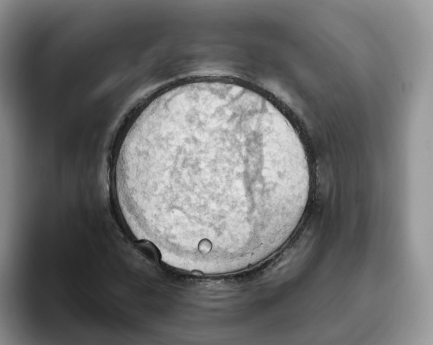 X0000093521408200711091731