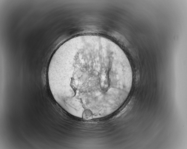 X0000093521409200711091731