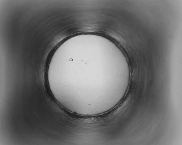 X0000093521410200711091731