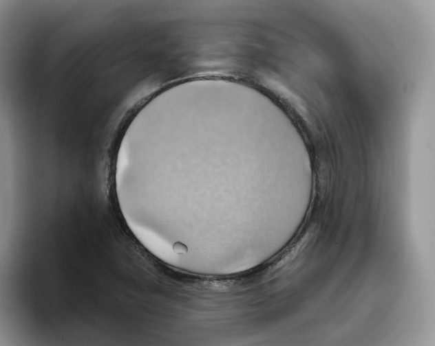 X0000093521411200711091731