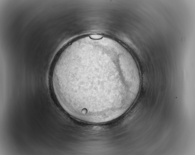 X0000093521412200711091731