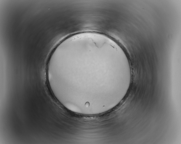 X0000093521415200711091731