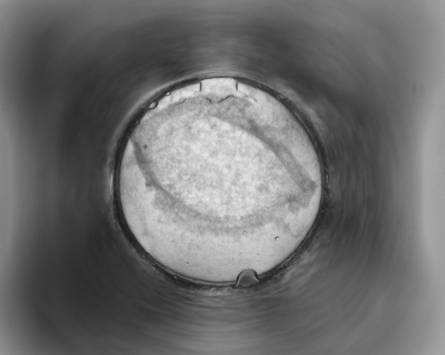 X0000093521416200711091731