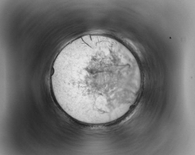 X0000093521417200711091731