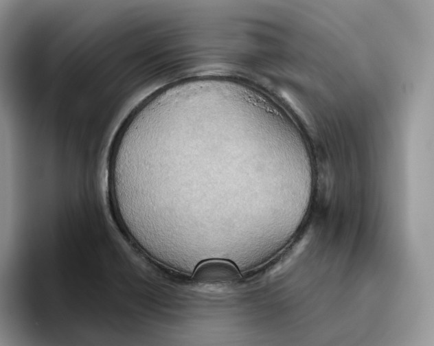 X0000093521418200711091731