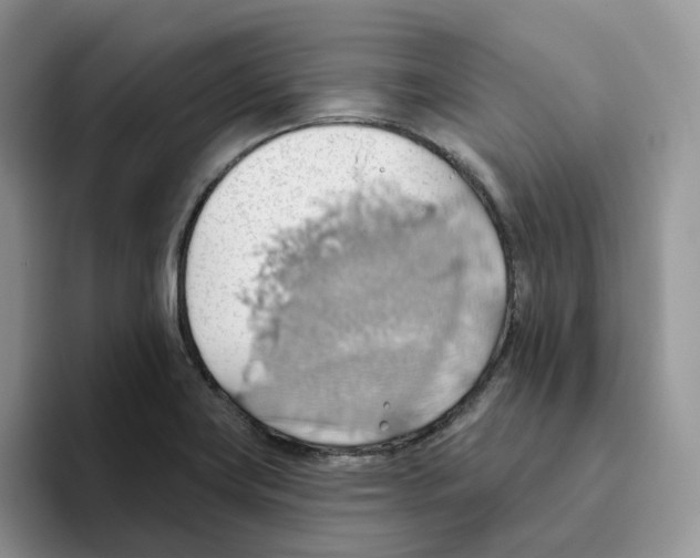 X0000093521419200711091731