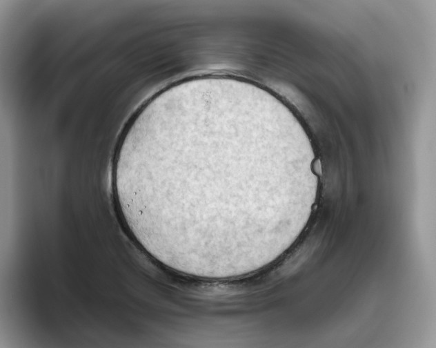 X0000093521420200711091731