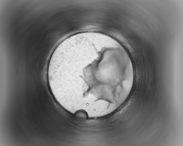 X0000093521421200711091731