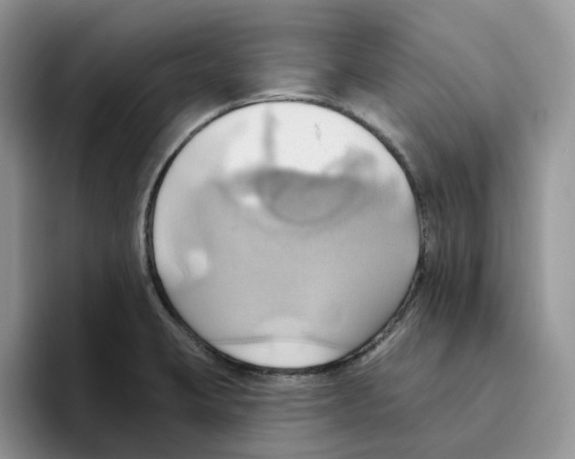 X0000093521423200711091731