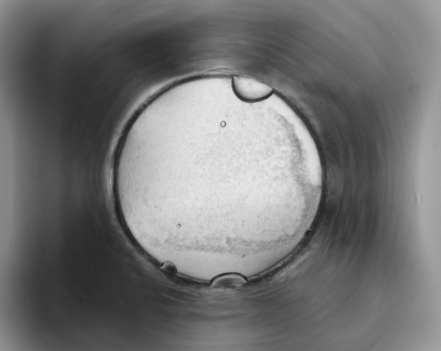 X0000093521424200711091731