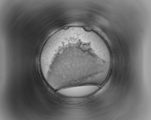 X0000093521425200711091731