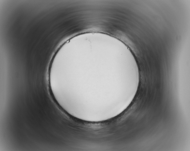 X0000093521428200711091731