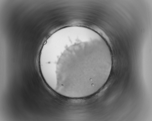 X0000093521429200711091731