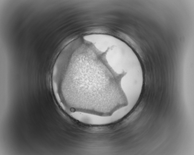 X0000093521433200711091731