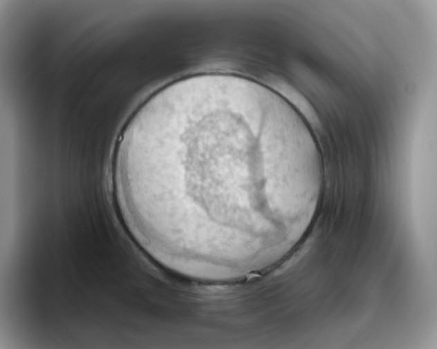 X0000093521436200711091731