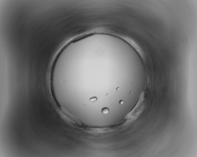 X0000093521438200711091731