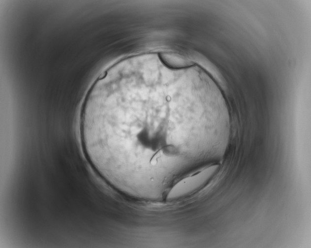 X0000093521439200711091731