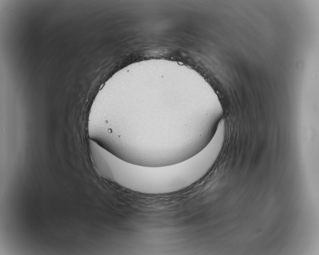 X0000093521441200711091731