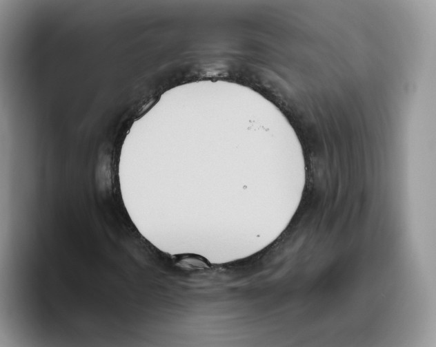 X0000093521442200711091731